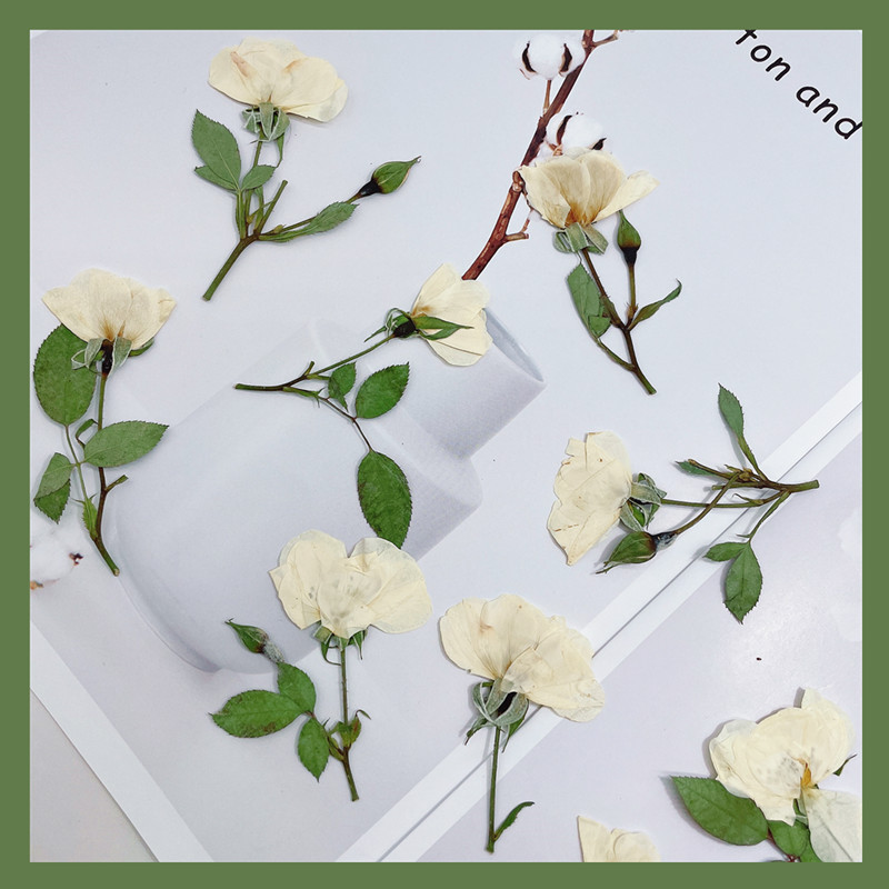 12 Stück, Naturweiße, Rosa und – Wedding Card Box Bewertung und Preis